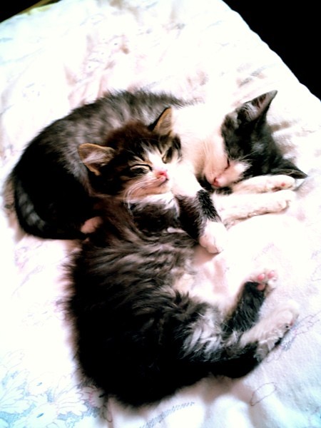 Wrccie do mnie kochane ;(((( ;*