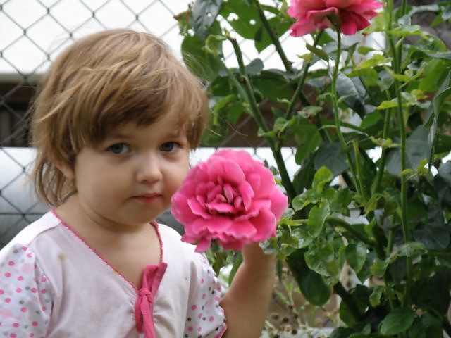Wpis katerina9319