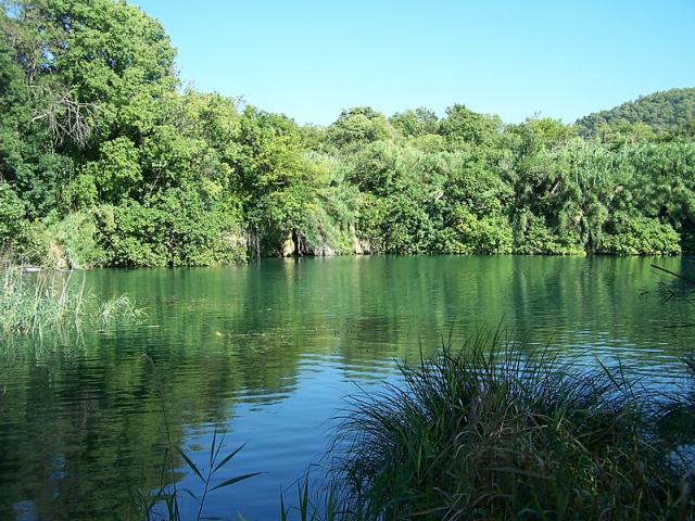 Jeziorko