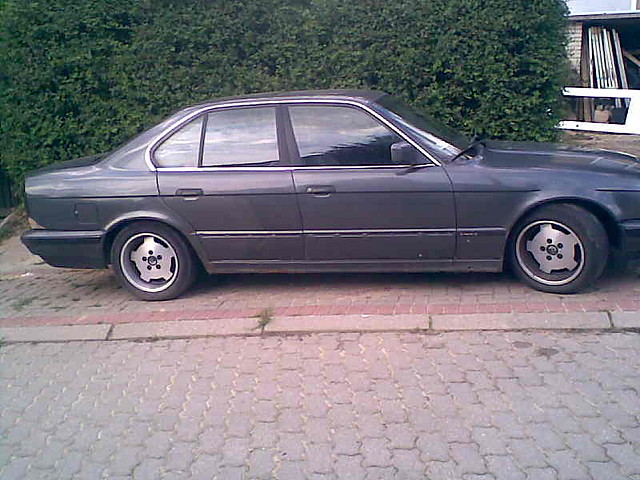 Wpis jacarum4