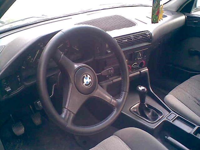 Wpis jacarum4