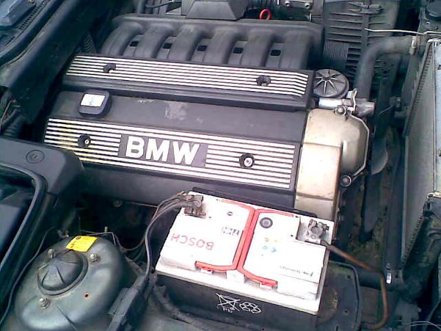 Wpis jacarum4