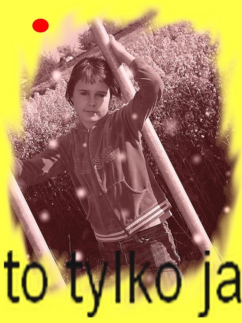 w yciu pikne s tylko chwile