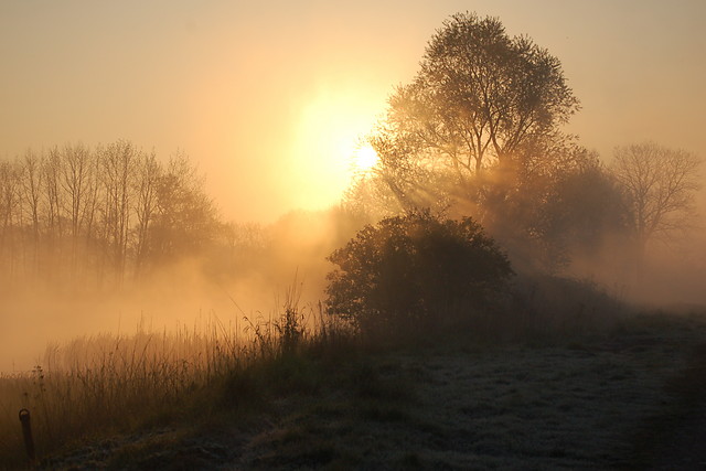 Pobudka