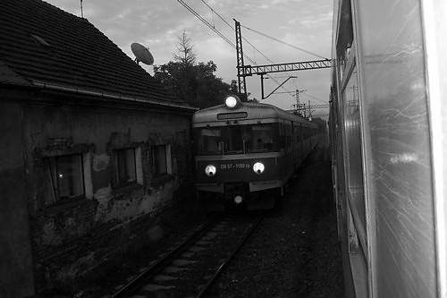Wpis krecik541