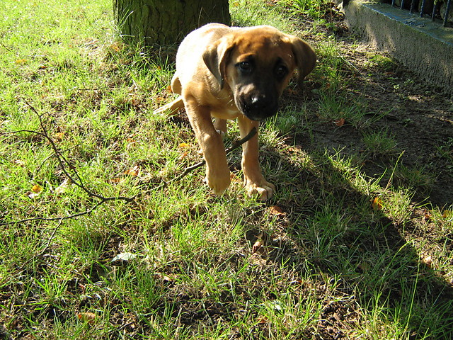 Sara. :**
