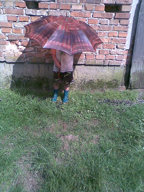 Wpis littlefrog93
