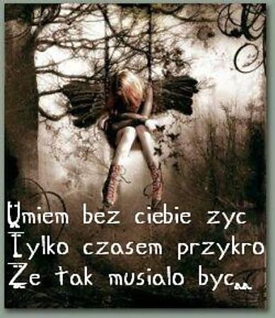Wpis kiti9517