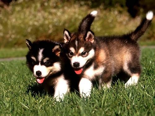 Wpis majsterek97