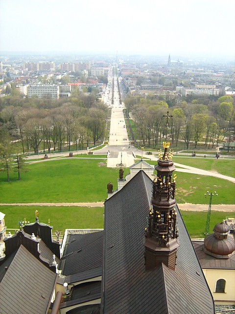 Rzadkoznajduje..