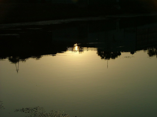 Fotos