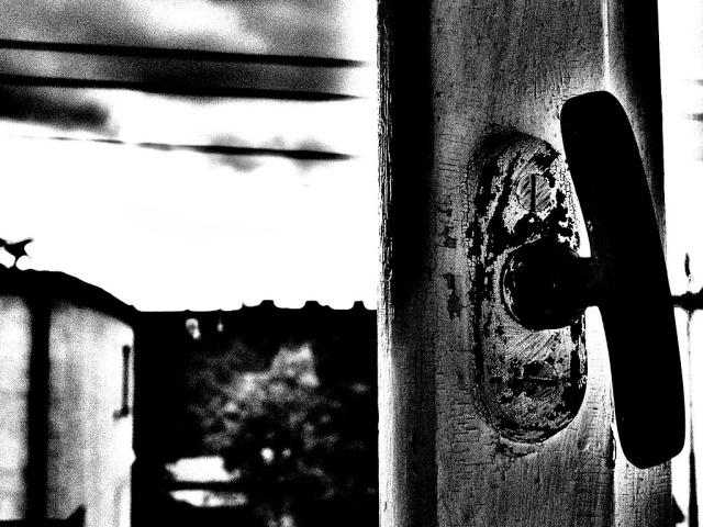 Window