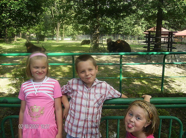zoo