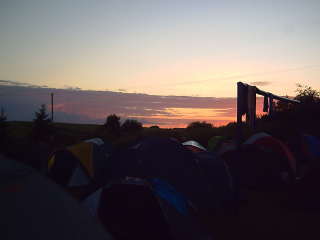 Wpis pola12