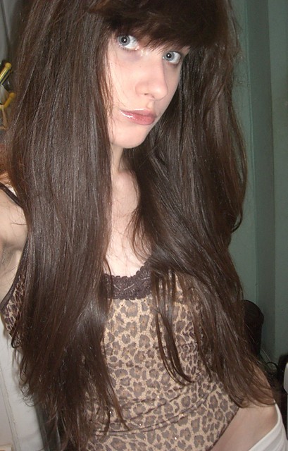 Wpis ragdoll4