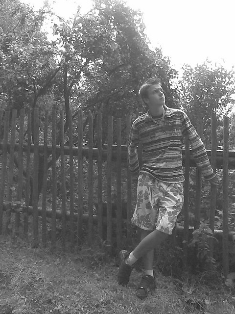 moy:*