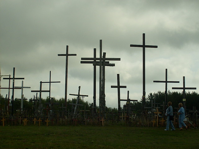 Wpis przemek7652