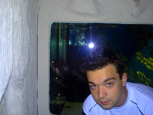 oceanarium