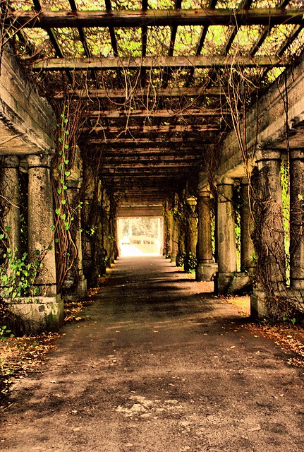 pergola hdr