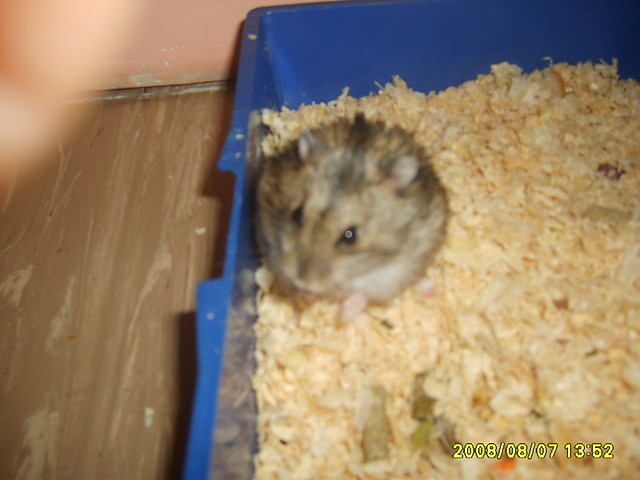 Kocham cie ukaszku:*:*:
