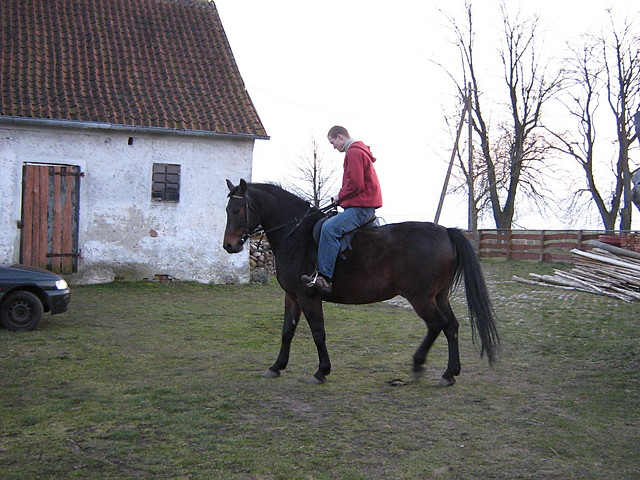 Wpis przemusitomus8886