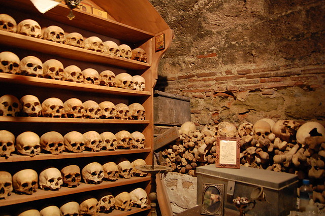 Craniums.