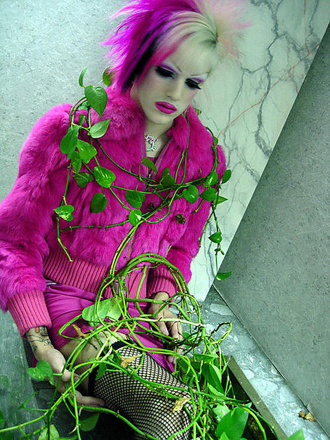 Jeffree