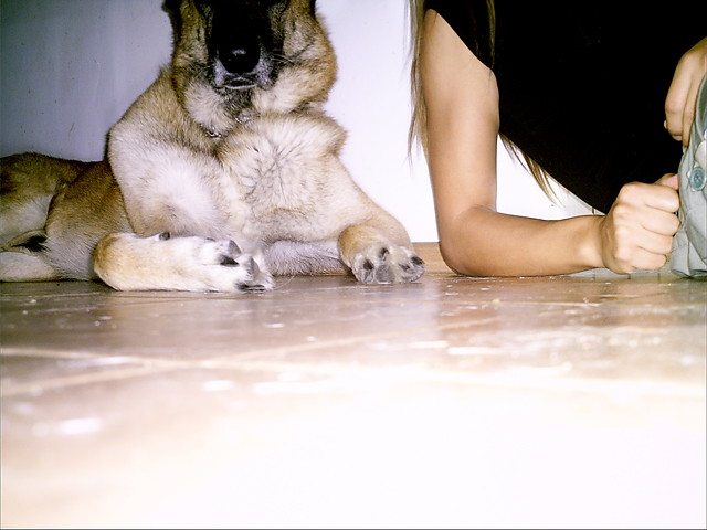 Ja i mj piess;* 