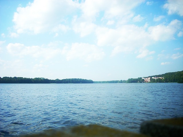 symboltoprzyjaznmilosci