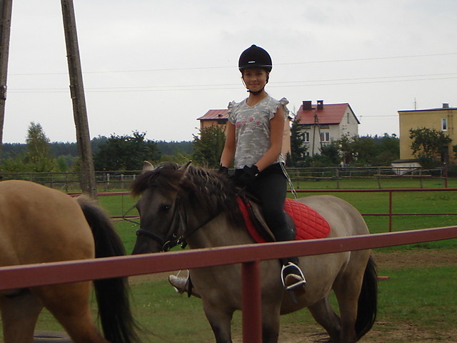 Wpis justysias