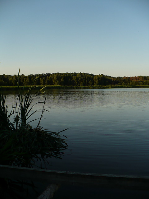 Wpis szkocka