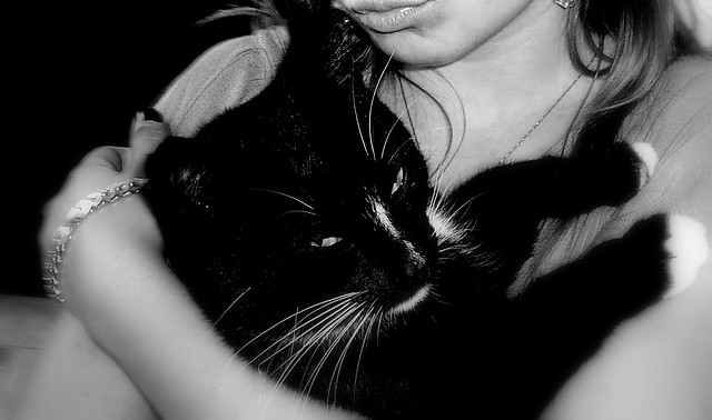 Zz Lucjaanem  ; ] 