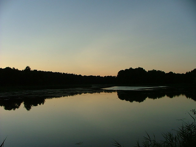 adne