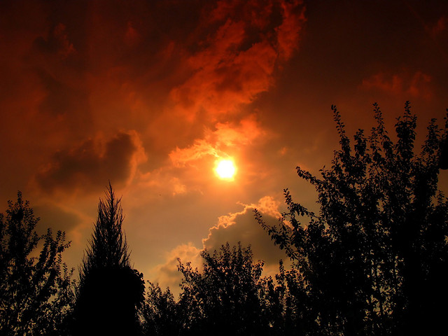 Wpis nightfall696