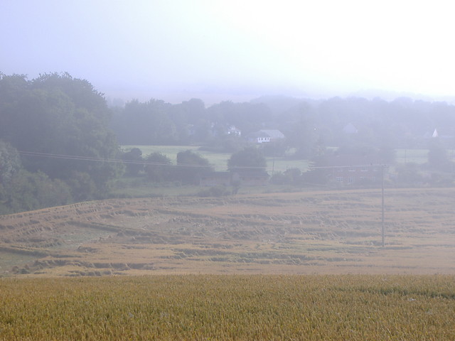 Wpis domisiek