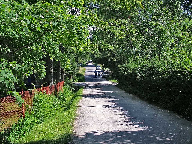 Wpis pyciuska15