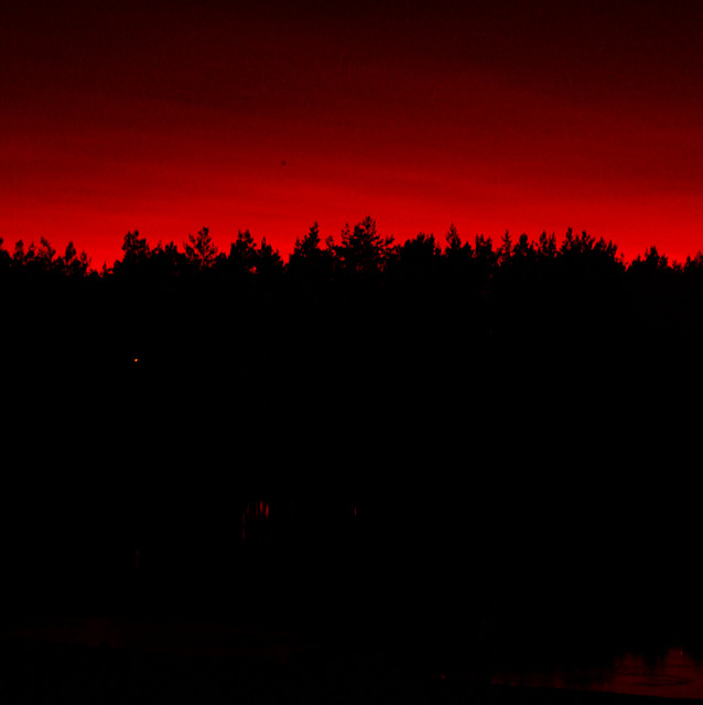 gdzie tam... Jelcz Laskowice