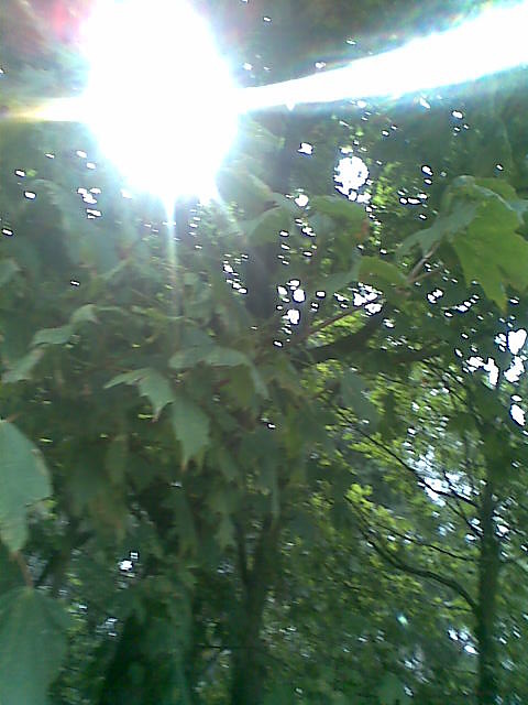 ciamciaramcia
