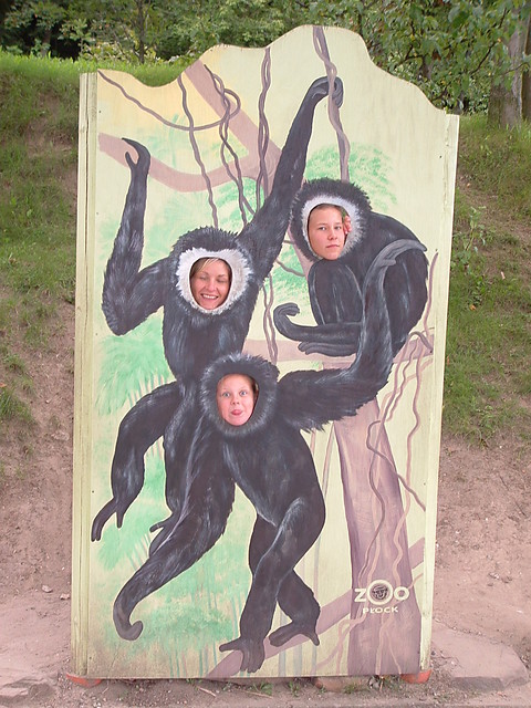malpki