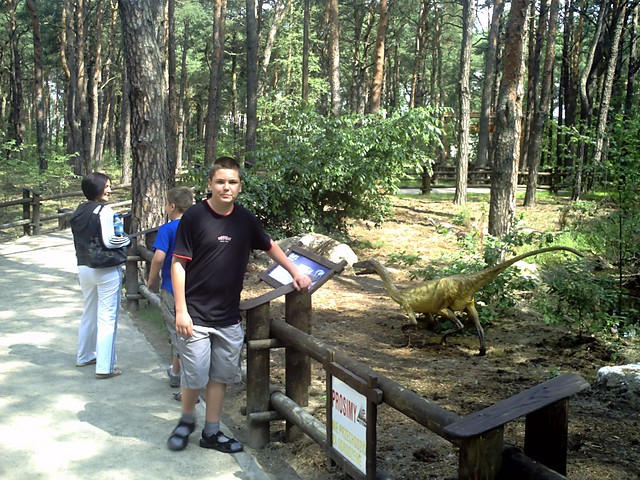 W solcu kujawskim