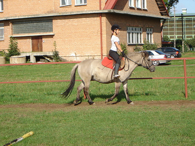 Wpis justysias