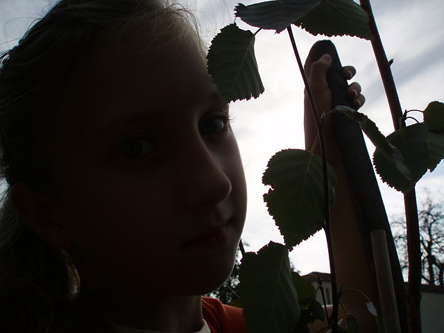 hejka;*