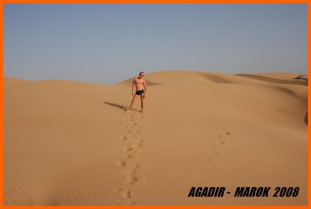 MAROK 2008