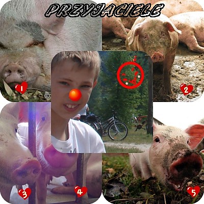 Wpis rosiak02