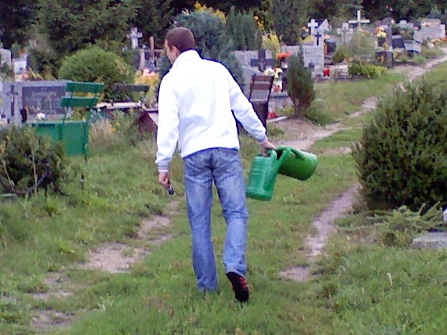 Wpis rzepus90