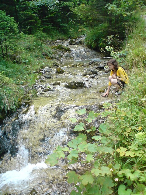 paradiso