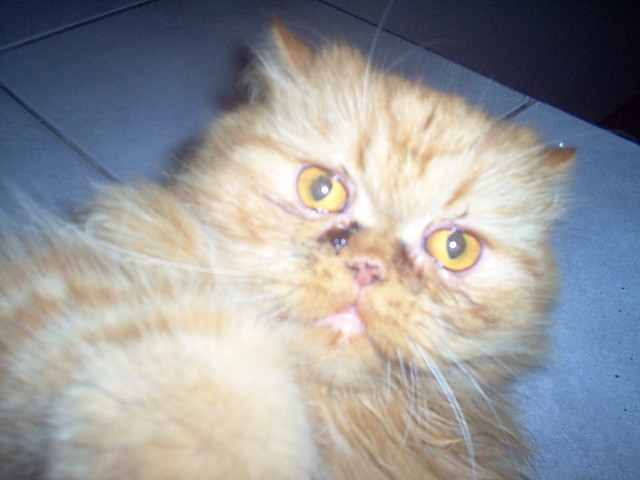 KIU ;)