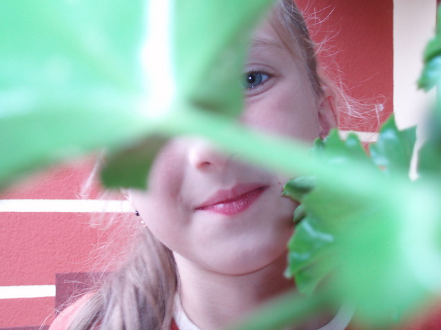 hey:)
