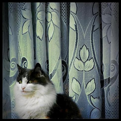 mona lisa ... 