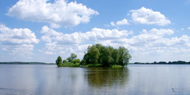 Staw w Siemieniu